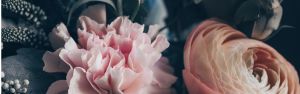 Luxury Perfume Executive Search