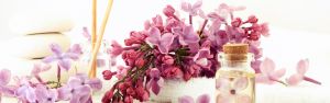 Premium Fragrance Executive Search