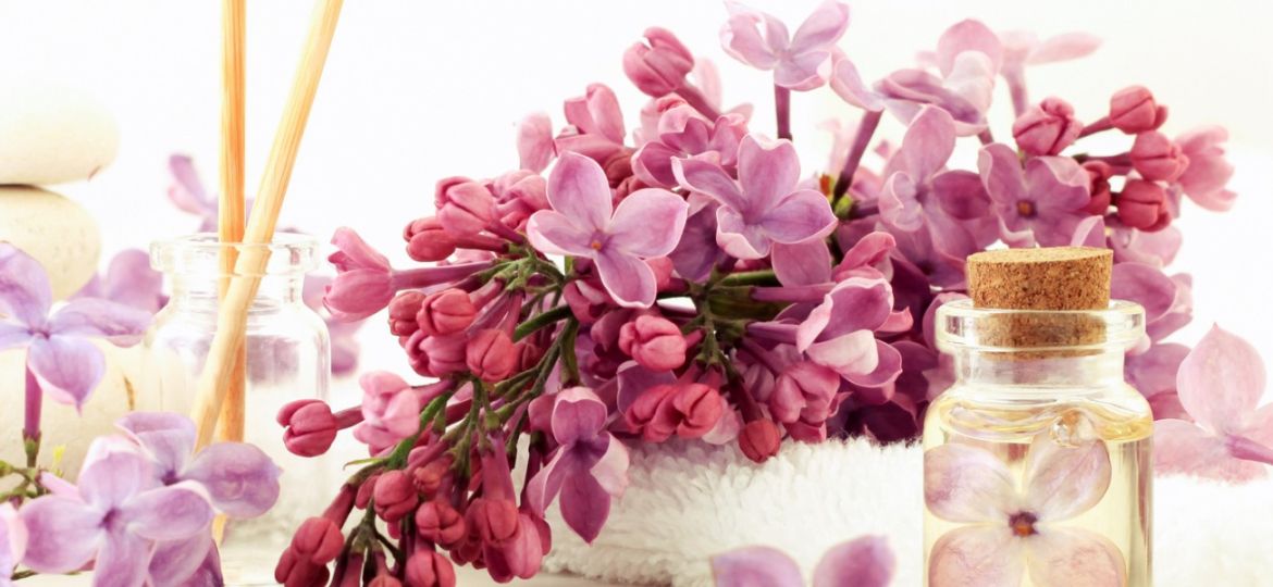 Premium Fragrance Executive Search
